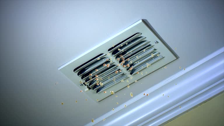 Best Ventilation Cleaning Services  in Morgan City, LA
