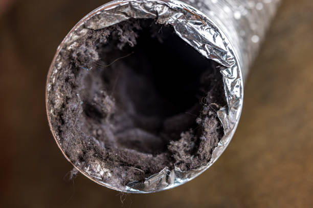 Best Ductwork Cleaning Services  in Morgan City, LA
