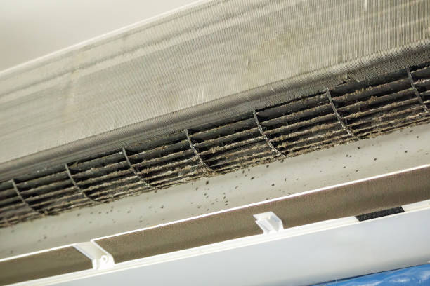 Home Air Vent Cleaning in Morgan City, LA