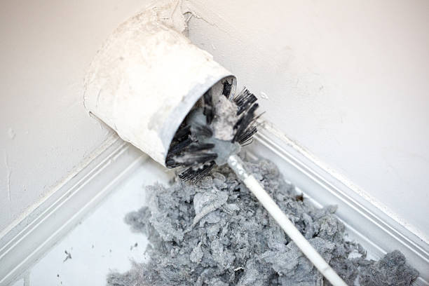 Best Home Air Vent Cleaning  in Morgan City, LA